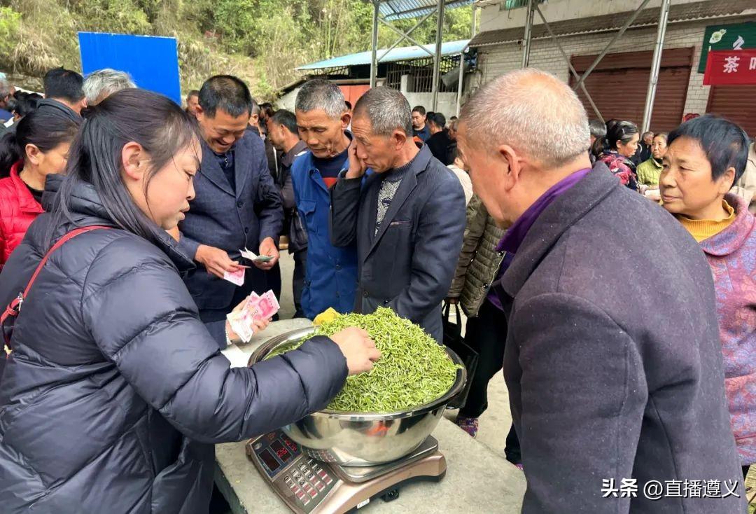 闷精华游戏免费下载探秘，游戏世界的无限魅力