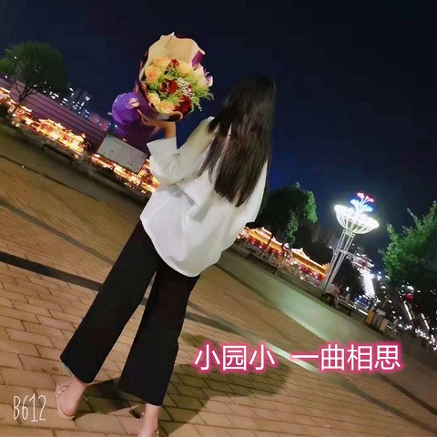 相思小视频大全免费下载，情感与娱乐的完美交融