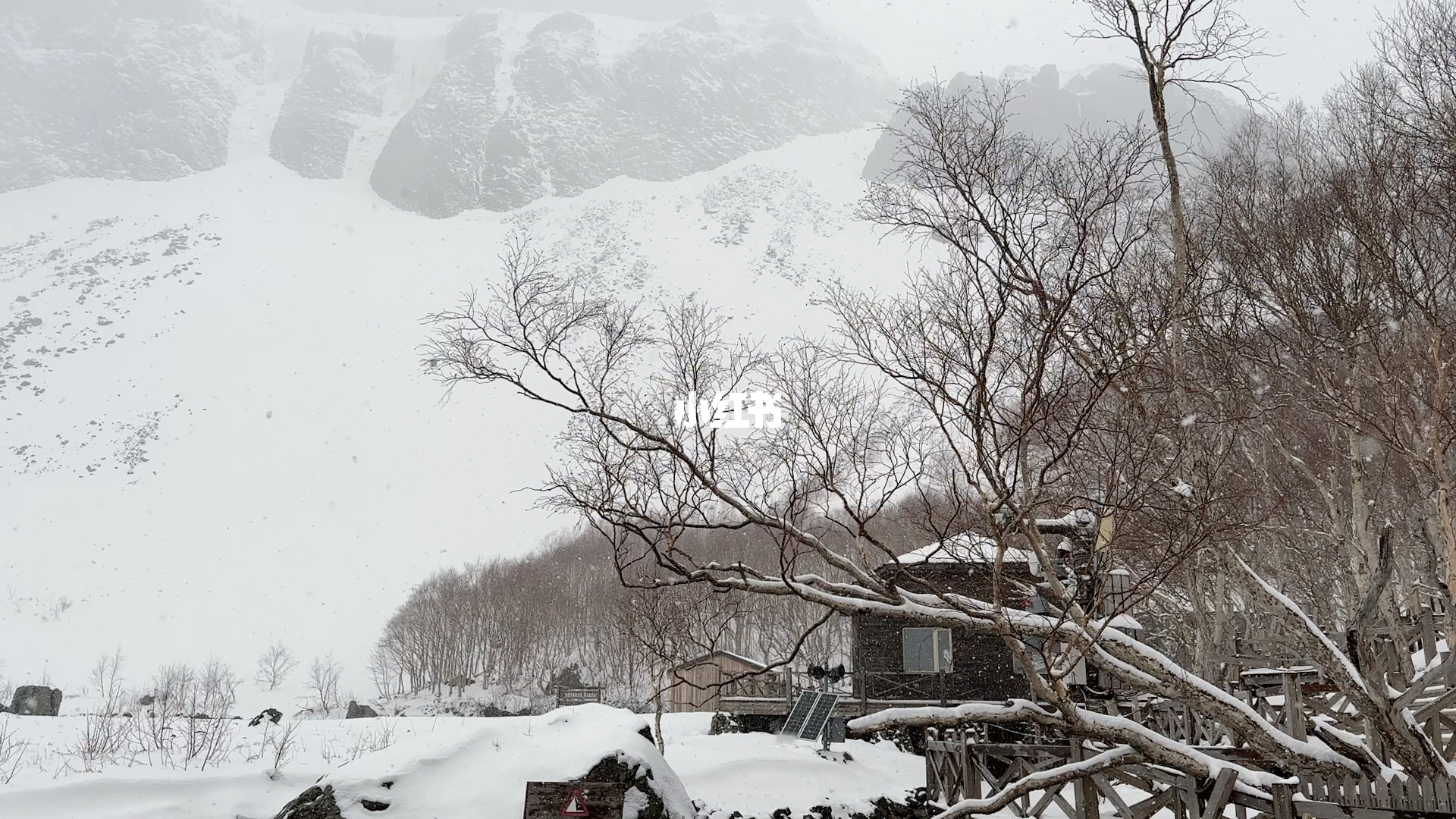 长白山雪之全新观察作品揭秘